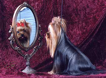 Zilahy Kata